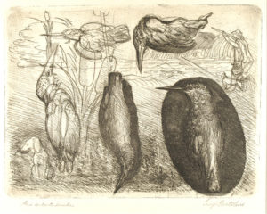 Storia del Martin Pescatore